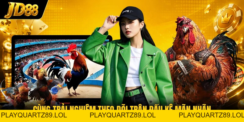 Đá Gà JD88 - Theo Dõi Những Màn Đối Đầu Nảy Lửa 2026 - Playquartz89