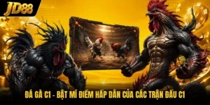 Đá Gà JD88 - Theo Dõi Những Màn Đối Đầu Nảy Lửa 2026 - Playquartz89