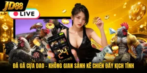Đá Gà JD88 - Theo Dõi Những Màn Đối Đầu Nảy Lửa 2026 - Playquartz89