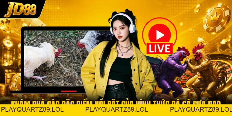 Đá Gà Cựa Dao - Không Gian Sảnh Kê Chiến Đầy Kịch Tính - Playquartz89