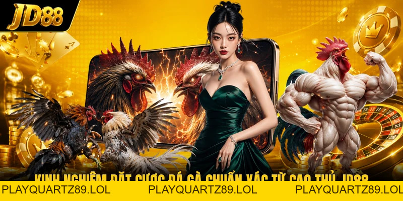 Đá Gà Cựa Dao - Không Gian Sảnh Kê Chiến Đầy Kịch Tính - Playquartz89