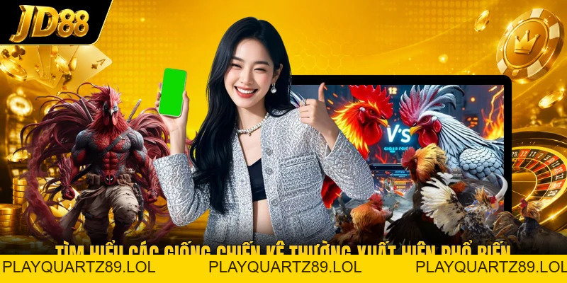 Đá Gà Cựa Dao - Không Gian Sảnh Kê Chiến Đầy Kịch Tính - Playquartz89