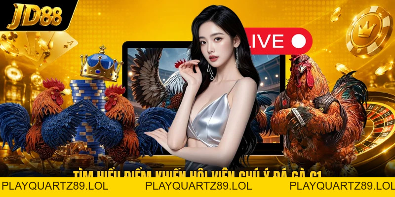 Đá Gà C1 - Bật Mí Điểm Hấp Dẫn Của Các Trận Đấu C1 - Playquartz89
