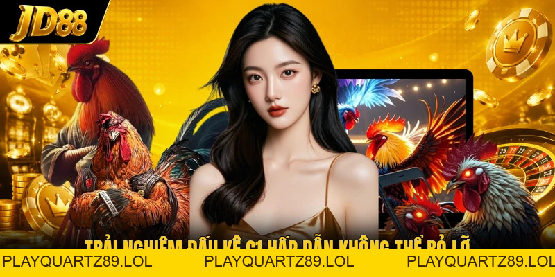 Đá Gà C1 - Bật Mí Điểm Hấp Dẫn Của Các Trận Đấu C1 - Playquartz89